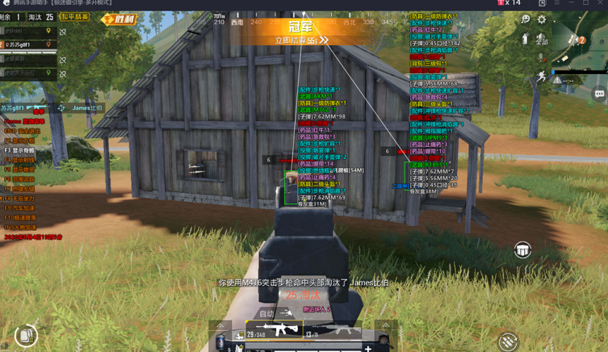 和平精英《魔法》辅助